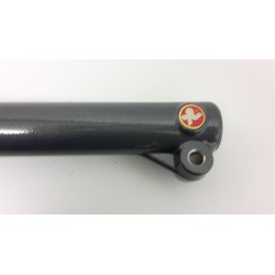 FORCELLA ANTERIORE PAIOLI PER YAMAHA BW'S 50