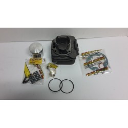 GRUPPO TERMICO MALOSSI PER HONDA E PEUGEOT 50