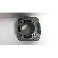 GRUPPO TERMICO MALOSSI PER HONDA E PEUGEOT 50