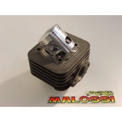 CILINDRO COMPLETO MALOSSI PER PIAGGIO, APRILIA, GILERA DERBI 50 2T