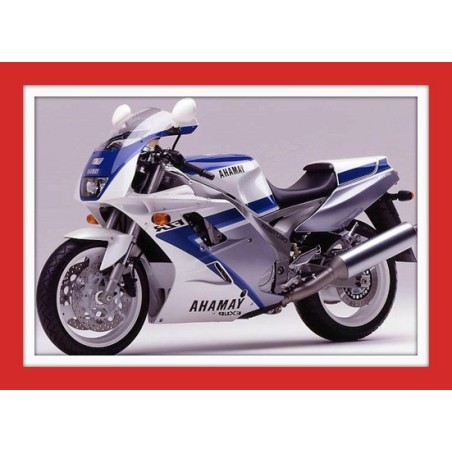 SERIE EMBLEMI SINISTRI FZR 1000