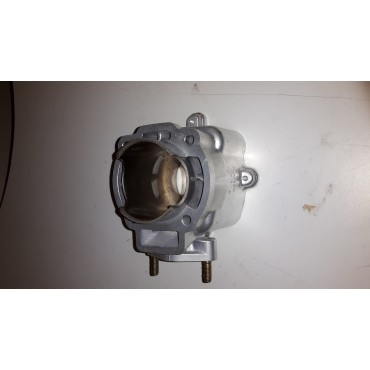 CILINDRO COMPLETO PIAGGIO HEXAGON
