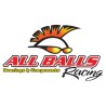 ALL BALLS RACING